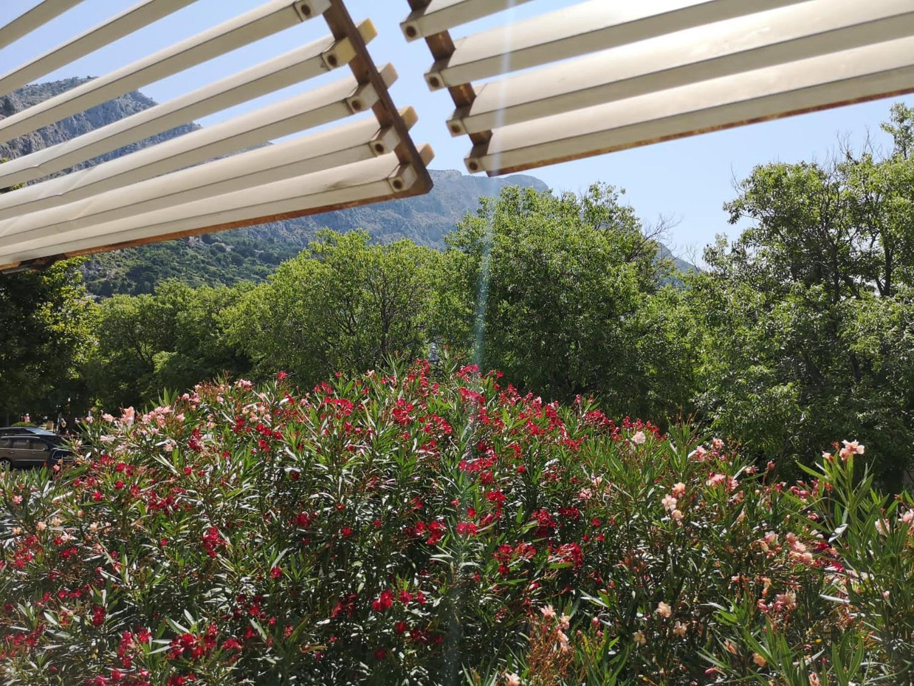 Teta Neda Apartment Omis Bagian luar foto